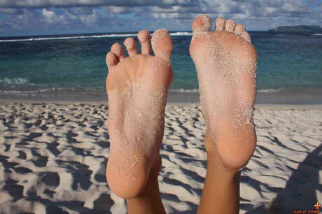 Louis De Mirabert offers xxx pic gallery with Corail exhibit amazing shape